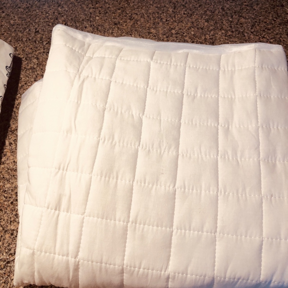Pottery Barn Kids Crib/toddler bed Bedding - Picture 2 of 4